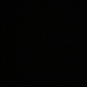 Meet your Posher, Rayza